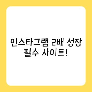 인스타그램 2배 성장 필수 사이트