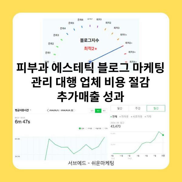 피부과 에스테틱 블로그 마케팅 관리 대행 업체 비용 절감 추가매출 성과